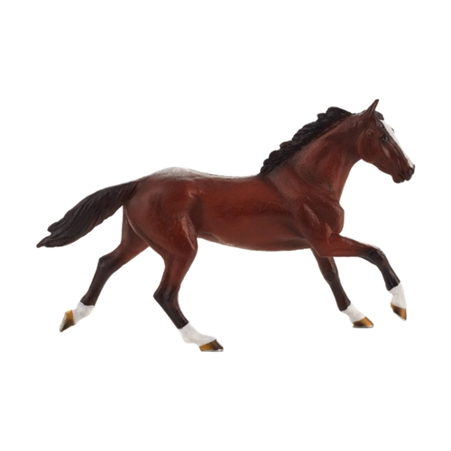 Чистокръвен Английски кон | P1440276