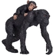 Шимпанзе с бебе  - 1