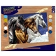Комплект Sequin Art Рисуване по номера Диви коне голям размер 