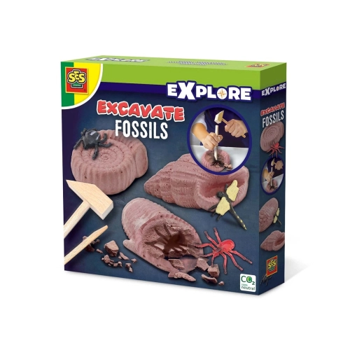 Детски комплект Изкопаеми вкаменелости | PAT6152