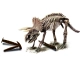 Детски игрален комплект Малък гений Triceratops  - 2