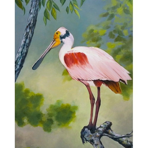 Детски комплект Рисуване по номера Розова лопатарка 40х50см PAT73365