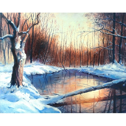 Детски сет Рисуване по номера Замръзналото езеро 40х50см PAT73398