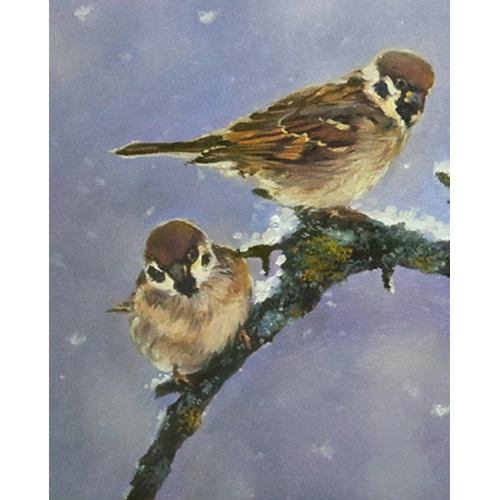 Детски сет Рисуване по номера Триптих Врабчета, 3x40х50см PAT73484