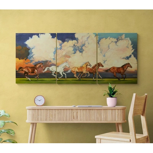 Детски сет Рисуване по номера Триптих Диви коне, 3x40х50см PAT73486