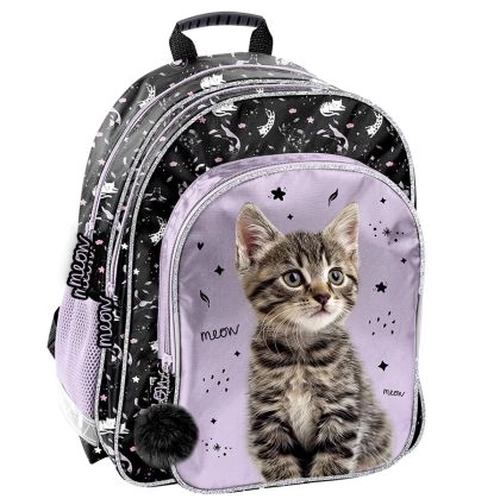 Ученическа детска раница с 2 отделения Cat PAT77432