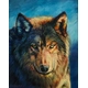 Детски комплект Рисуване по номера Вълкът 40х50см  - 1