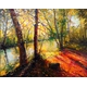 Детски комплект Рисуване по номера Есенен следобед 40х50см  - 1