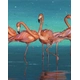 Детски сет Рисуване по номера Триптих Фламинго, 3x40х50см  - 3