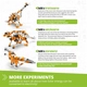 Детски конструктор STEM Paleontology Учим за динозаврите  - 2