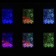 Детска синя магическа LED неонова дъска за 3D изображения  - 4
